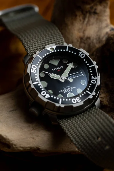 Pedaso Italy October 2021 Citizen Professional Diver Titanium Watch 公民是一家生产手表产品 — 图库照片