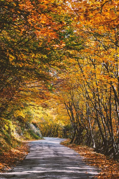紅葉のある田舎道 — ストック写真