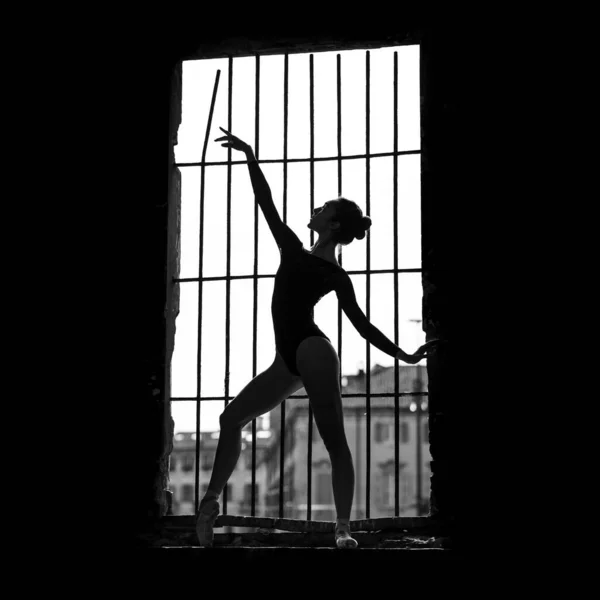 Young Beautiful Ballerina Silhouette Dancing Outdoors Window Ballerina Project Black — Stock Photo, Image