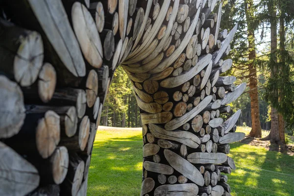 Valsugana Trento Italie Août 2020 Sculpture Artistique Bois Réalisée Main — Photo