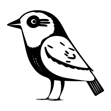 Cute bird vector illustration. Low brow ornithology wildlife motif clipart