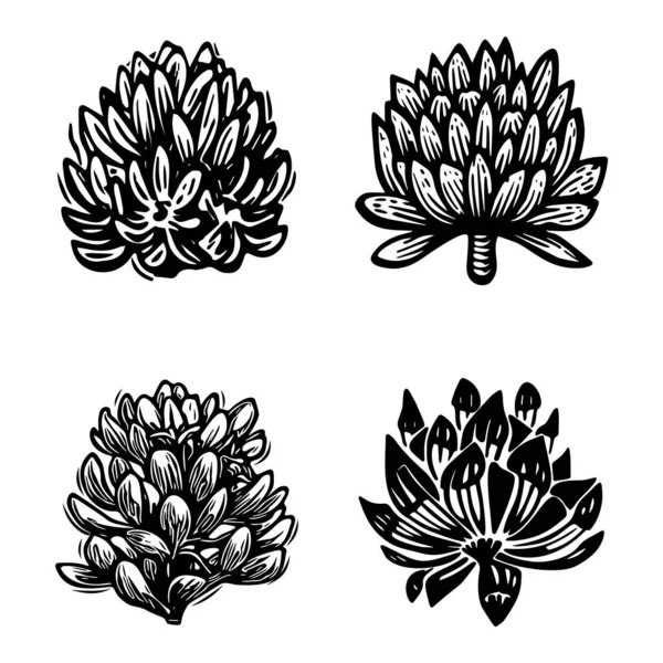 stock vector Linotype floral icon collection in whimsical vector art. Decorative foliate design for rustic botany set