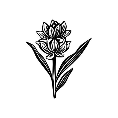 Linotip çiçek kaprisli vektör çizimi. Tuhaf yeşillik grafiğinin el yapımı tasarımı