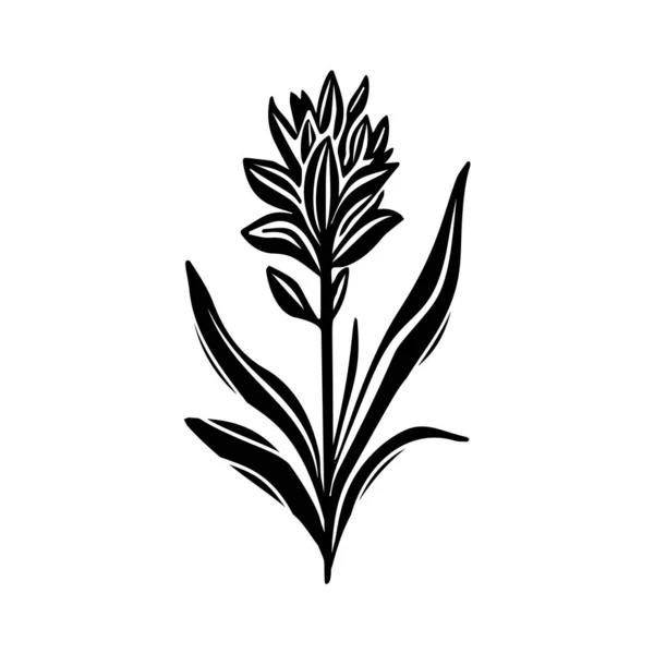 Illustration Vectorielle Fantaisiste Florale Linotype Conception Faite Main Feuillage Bizarre — Image vectorielle