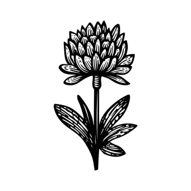 Linotip çiçek kaprisli vektör çizimi. Tuhaf yeşillik grafiğinin el yapımı tasarımı