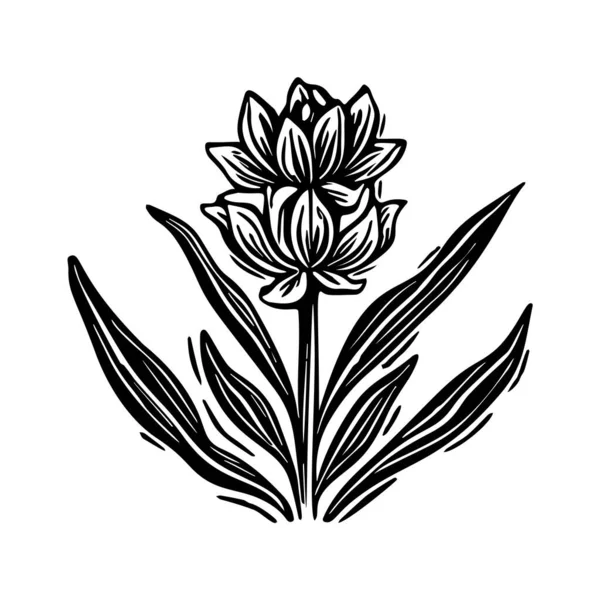 Linotip çiçek kaprisli vektör çizimi. Tuhaf yeşillik grafiğinin el yapımı tasarımı