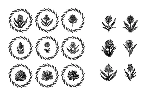 Garip Vektör Sanatında Linotip Çiçek Ikonu Koleksiyonu Kırsal Botanik Seti — Stok Vektör