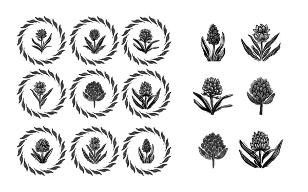 Linotype Florale Ikonensammlung Skurriler Vektorkunst Dekoratives Blattdesign Für Rustikales Botanik — Stockvektor