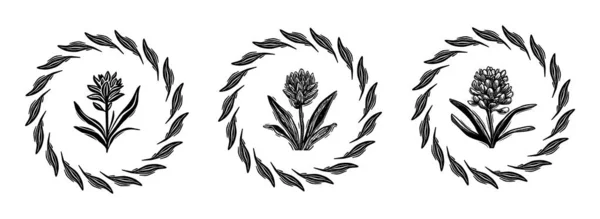 Linotype Florale Ikonensammlung Skurriler Vektorkunst Dekoratives Blattdesign Für Rustikales Botanik — Stockvektor