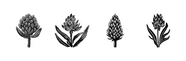 라이노타이프는 Whimsical Vector Art 아이콘 컬렉션이다 식물학적 집합을 장식적 — 스톡 벡터