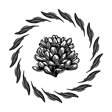 Linotip çiçekli çerçeve kaprisli vektör çizimi. Tuhaf yeşillik grafiğinin el yapımı tasarımı