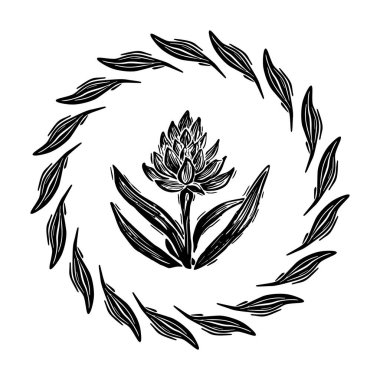 Linotip çiçekli çerçeve kaprisli vektör çizimi. Tuhaf yeşillik grafiğinin el yapımı tasarımı