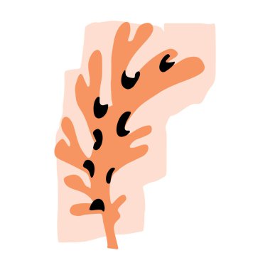 Midcentury modern kaprisli çiçek vektörü grafik motif çizimi. Organik yaz cinsiyeti nötr 70 'ler botanik tarzında matisse illüstrasyonu