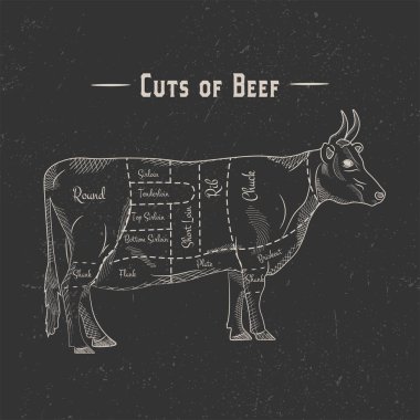 Yazı chuck, döş, şaft, kaburga, plaka, gögüs, sığır filetosu, shortloin, kıç, yuvarlak, poster sığır kesim düzeni şaftlı vintage tarzı tebeşir ile kara tahta arka plan üzerinde çizim