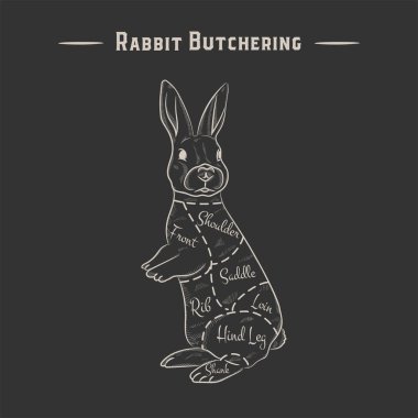 Kasap posteri diyagramı, şematik tavşan. Klasik tipografik el çizimi tavşan silueti ya da kasap dükkanı için tavşan, restoran menüsü. Vektör illüstrasyonu,