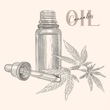 Taşıyıcı el, kenevir yağı için pipetle çizilmiş bir şişe. Beyaz arkaplanda izole.