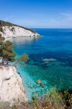 Isola d 'Elba, İtalya, güzel bir ada. Capo Bianco Plajı Elba Adası İHA 'sı