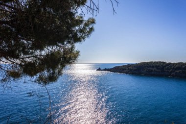Elba Adası Costa del Sole 'un kristal sularında gümüş yansımalar. Toskana Takımadası, İtalya.