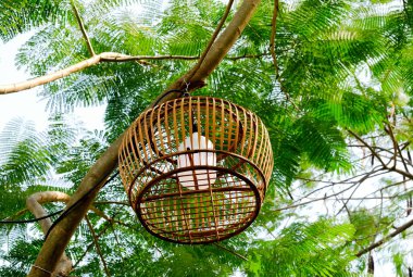 Kafesteki ışık ağaçta asılı.