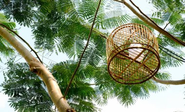 Kafesteki ışık ağaçta asılı.