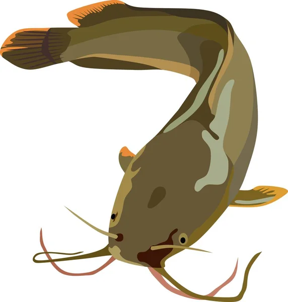 Catfish Water Animal Vector — Vetor de Stock
