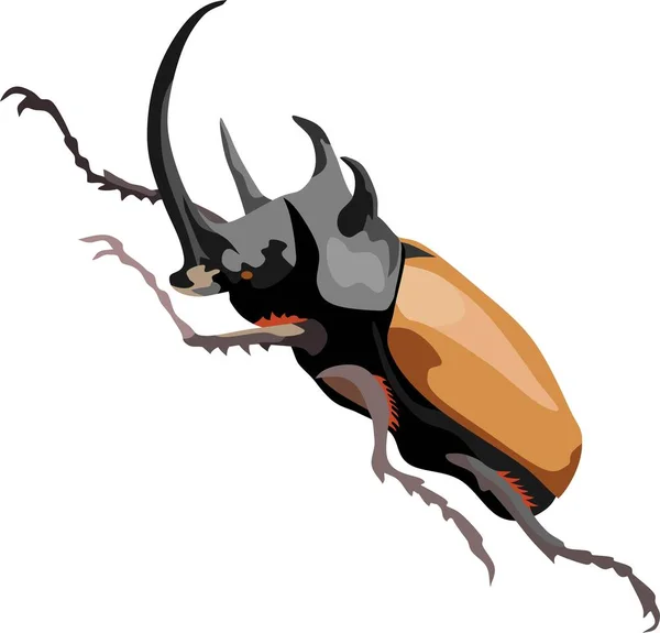 Brown Beetle Vektor Hewan Serangga - Stok Vektor