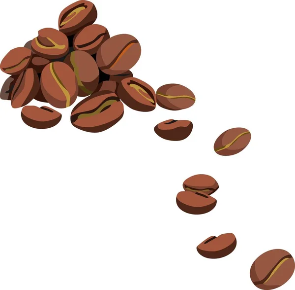 Coffee Bean Food Drink Vector — Stockový vektor