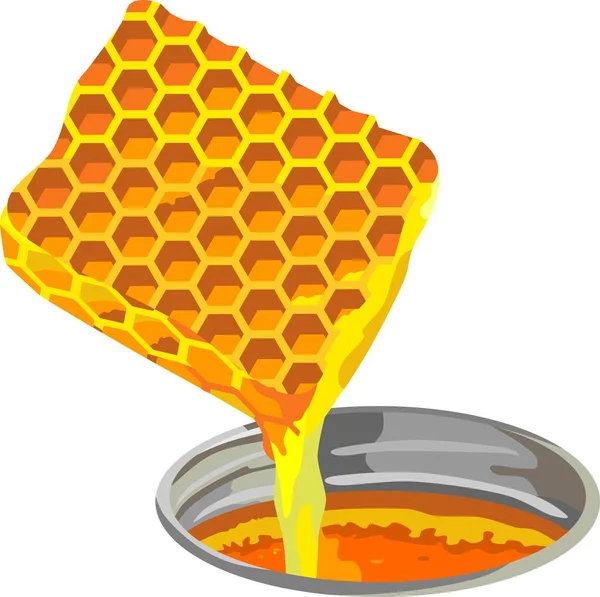 Honig Waben Nahrungsmittel Ernährungsvektor — Stockvektor