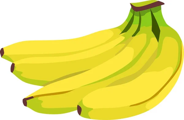 Banana Fruit Plant Vector Illustration — 图库矢量图片