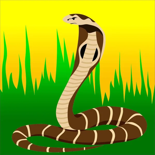 Cobra Serpent Vert Herbe Reptile Animal — Photo