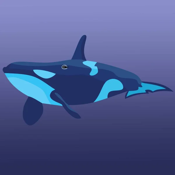 Błękitny Wieloryb Głębinowy Zwierzę Morskie — Zdjęcie stockowe