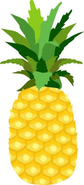 Ananas Meyve Vektörü