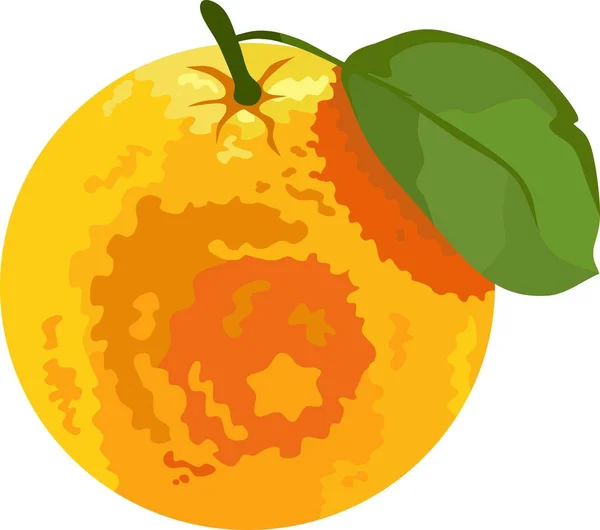 Oranžový Vektor Ovocných Rostlin — Stockový vektor