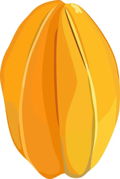 Ilustração Vetor Planta Starfruit — Vetor de Stock