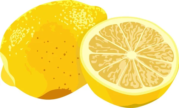Limon Meyve Bitkisi Vektörü — Stok Vektör