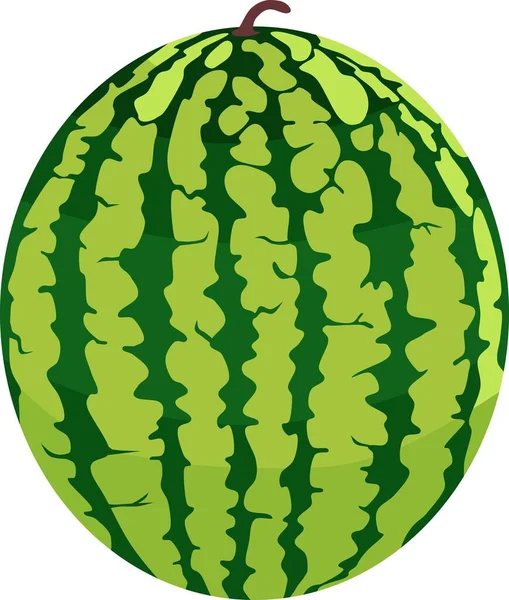 Vattenmelon Frukt Växt Vektor — Stock vektor
