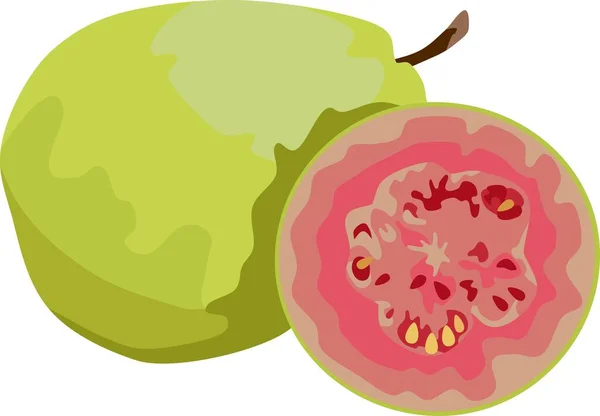 Vektorpflanze Für Guaven Früchte — Stockvektor