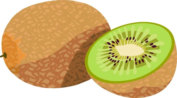 Wektor Rośliny Kiwi Fruit Food Plant — Wektor stockowy