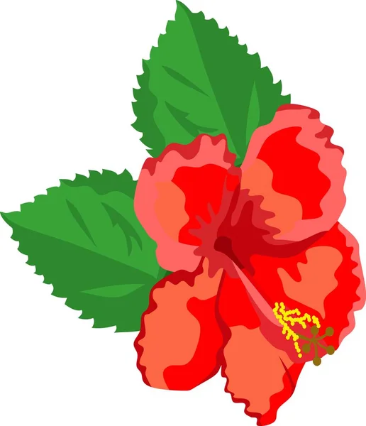 Chine Rose Fleur Plante Vecteur — Image vectorielle