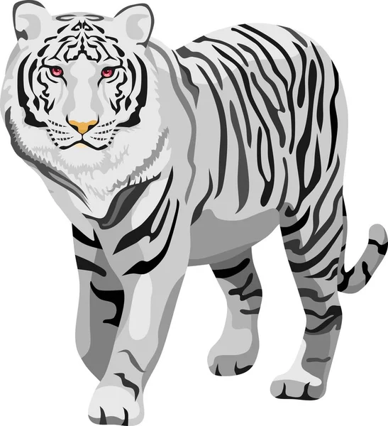 Vettore Animale Del Mammifero Bianco Della Tigre — Vettoriale Stock
