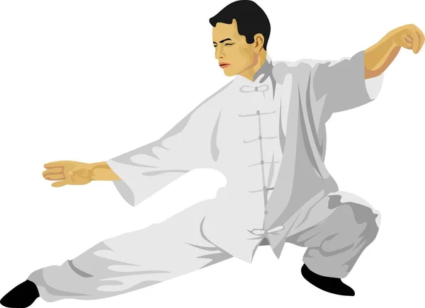 Taichi Chinese Traditional Martial Art Vector — Stock Vector