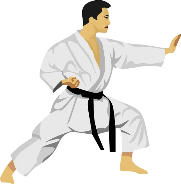Karate Giapponese Tradizionale Arte Marziale Vettoriale — Vettoriale Stock