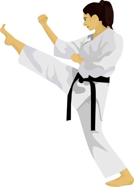 Karate Giapponese Tradizionale Arte Marziale Vettoriale — Vettoriale Stock