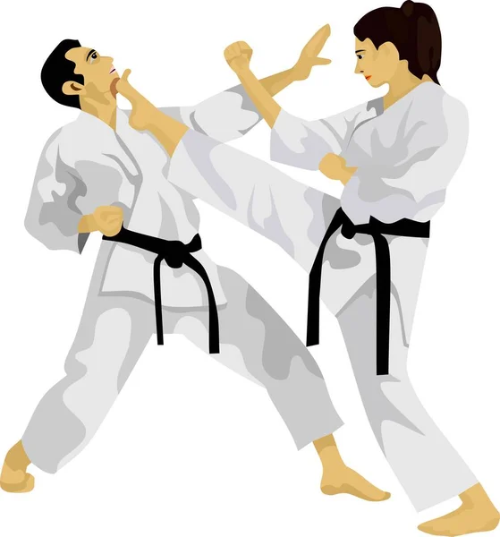 Karate Japonský Tradiční Bojové Umění Vektor — Stockový vektor