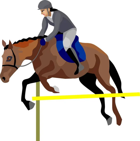Equestrianismo Esporte Cavalo Vetor — Vetor de Stock