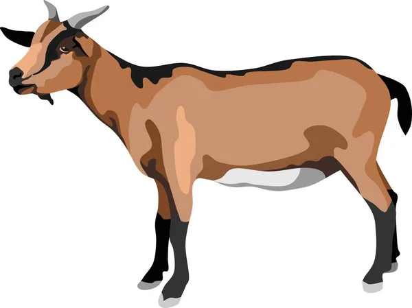 Goat Mammal Farm Animal Vector — Stock Vector