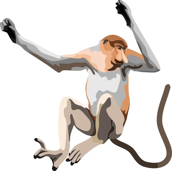 Proboscis Monkey Mammal Wild Animal Vector — 스톡 벡터