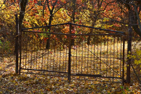 Gate Entrance Autumn Park — Stock Photo, Image
