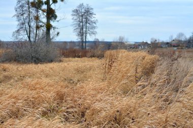 Sonbaharda Ukrayna köyü manzarası