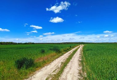 dirt road in the Ukrainian field